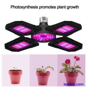 E27 LED Grow Light With Foldable Full Spectrum Grow Lights For Indoor Plant AU