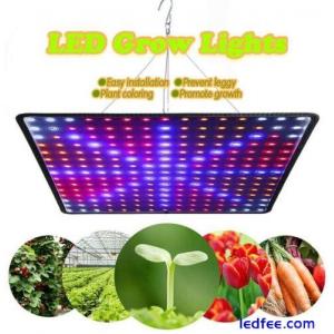 81/169/256/225 LED Full Spectrum Grow light plant lamp indoor hydroponic Tent