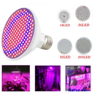 18/36/60/200 LED Grow Light Lamp bulbs E27 Room Plant Indoor Hydroponics