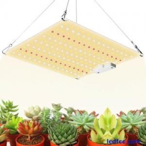 1000W Watt LED Grow Light Kits Lamp for Hydroponics Veg Flower Indoor Plants 