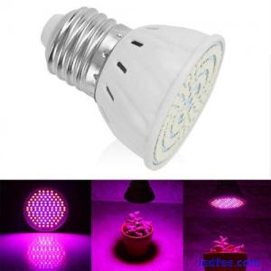 48/60/80 220V LED Grow Light E27 Lamp Bulb for Plant Hydroponic Full Spectrum&CR