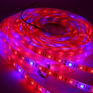 Led Grow Strip Full Spectrum Light Red Blue Growing LED Phyto Hydroponics Plants