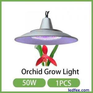 Orchid Grow light 50W Indoor Greenhosue Grow Light for Orchid