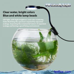 Aquarium LED Light USB Nano Fish Shrimp Tank Light Plants Plant Lamp Natural