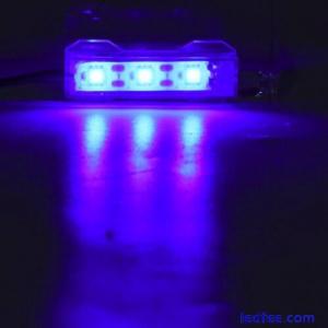 USB Aquarium Light - Blue LED Lighting for Fish Tanks  Aquatic Plants