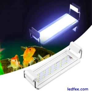 Mini-LED-Aquariumleuchte zum Aufstecken, weißes Licht für Aquarien