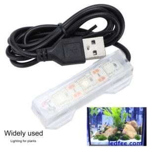 Aquarium USB Light Easy To Carry LED Light Plastic For Fish Tank Aquatic Plant