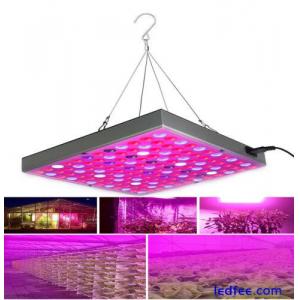 8000W LED Grow Light Hydroponic Full  Indoor Veg Flower Plant Lamp Panel