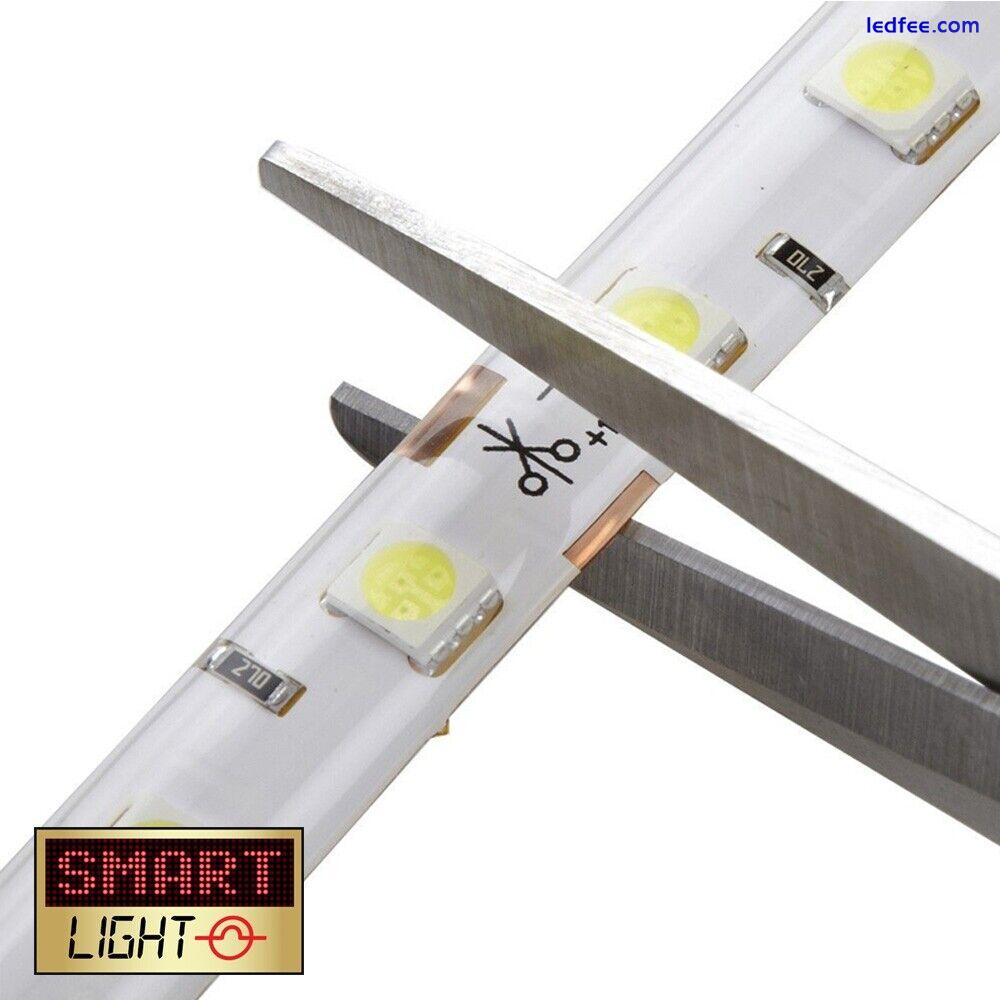 WHITE Ultra Bright 5m/600 LED Light Strip Sticky Tape *5050*120LED/m*10mm*12V* 3 