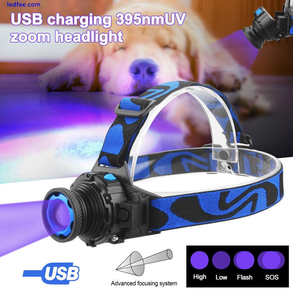 395nm UV LED Zoom Light Headlamp Rechargeable Headlight light Head Lamp Outdoor 4 