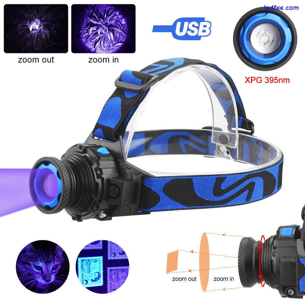 395nm UV LED Zoom Light Headlamp Rechargeable Headlight light Head Lamp Outdoor 5 