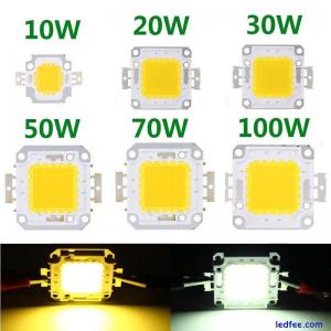 LED Chip COB Light High Power SMD Bulb 100W 50W 70W 30W 20W 10W Floodlight Lamp