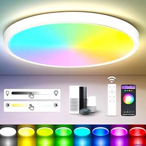 Smart LED Ceiling Light 12 Inch 24W  RGBCW Remote Control Dimmable - CANMEIJIA