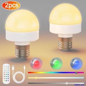 2X USB Rechargeable Light Bulb...