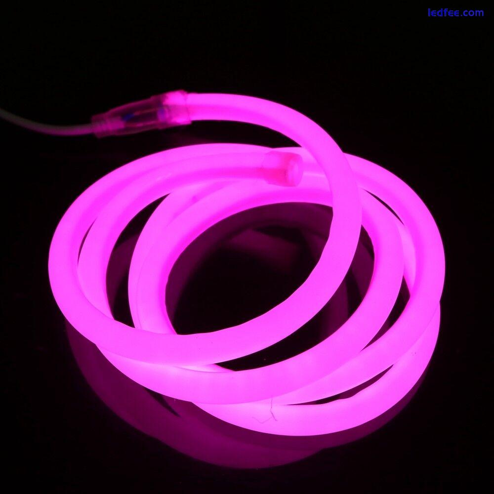 Round LED Flexible Strip Light 220V 230V 2835 LED Neon Tube IP67 Waterproof Rope 2 