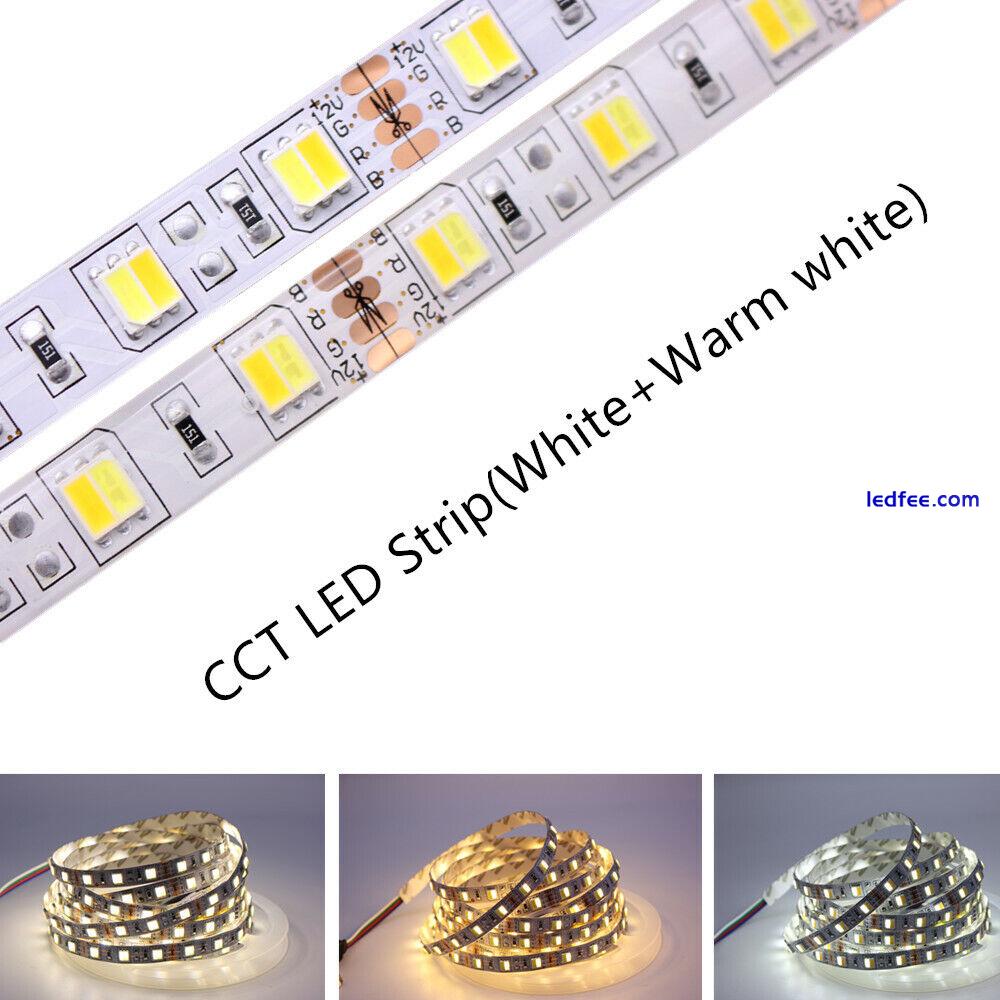 SMD 5050 Band Lichterkette Strip 24V LED Stripe RGB RGB+CCT RGBW Leiste Streifen 1 