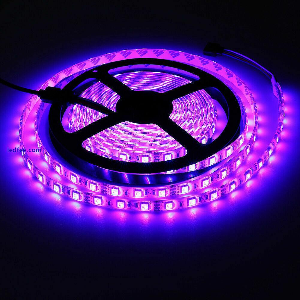 5M 10M SMD 5050 RGB White Waterproof 300 LED Flexible 3M Tape Strip Light DC 12V 5 