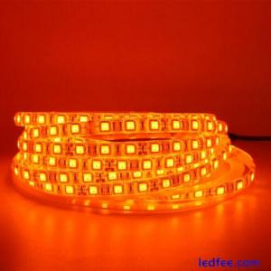 LED Strip Light Orange 600NM Waterproof 3528 5050 black PCB Car Caravan lamp 12V