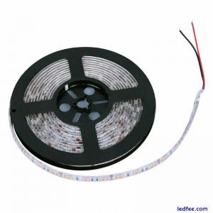 5M 10M SMD 5050 RGB White Waterproof 300 LED Flexible 3M Tape Strip Light DC 12V