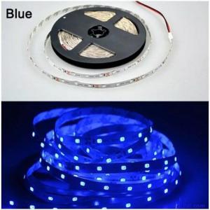 BLUE LED Reel Strip 5M Metre W...