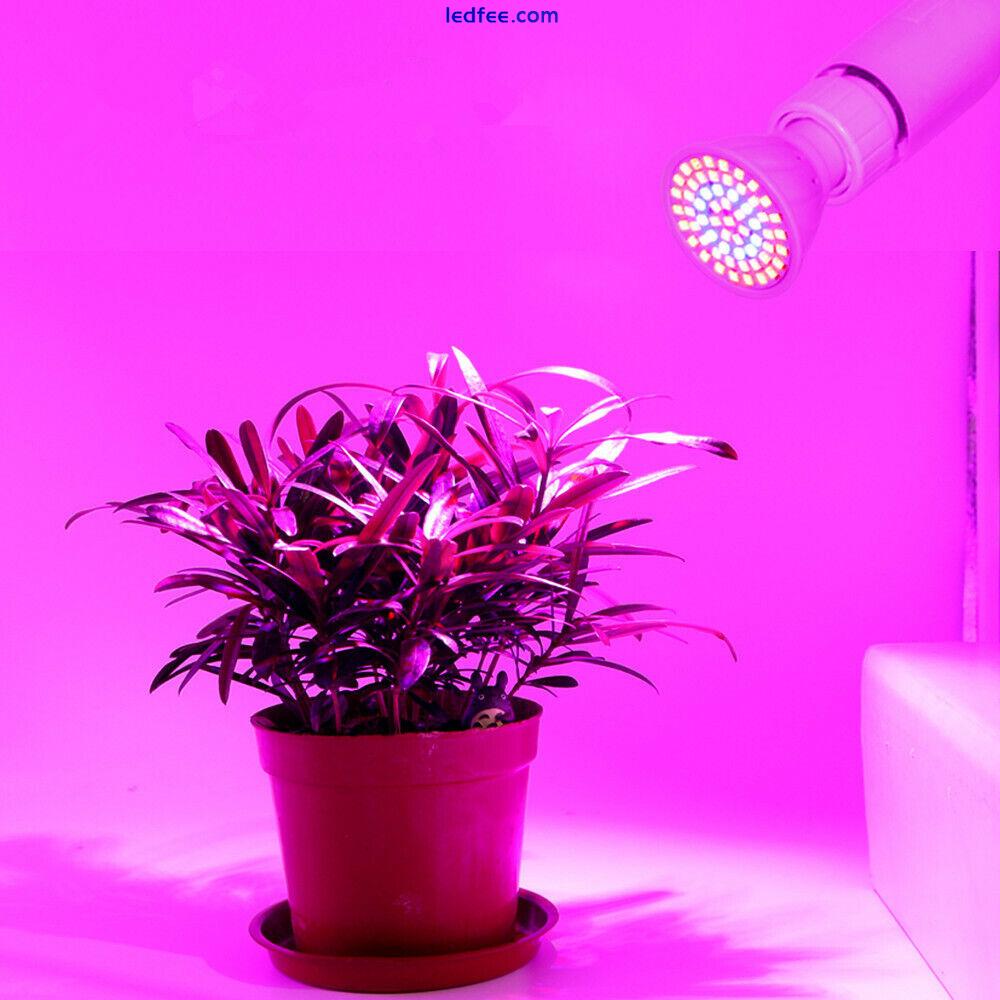 E27/GU10/MR16 48/60/80 LED Grow Lights Full Spectrum Plant Bulb Hydroponic Lamp 4 