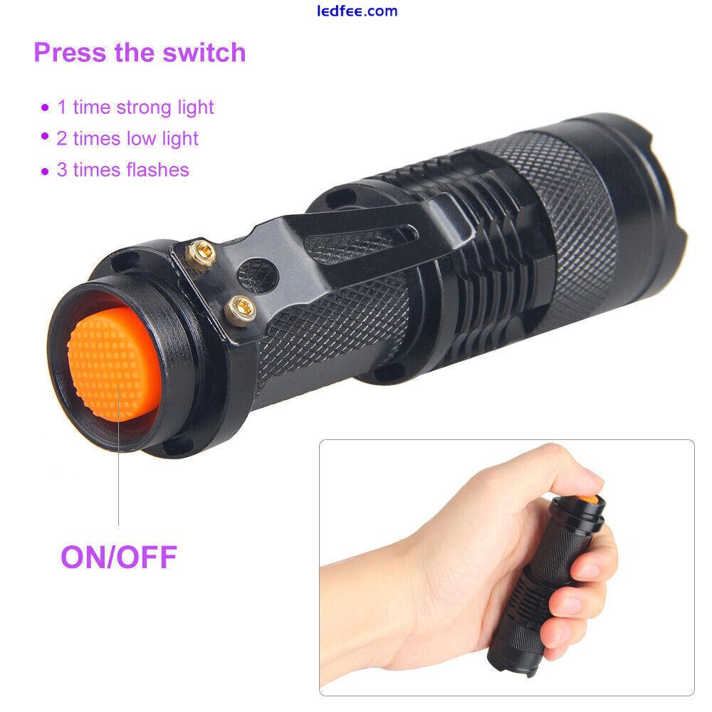 Small Torch Mini Handheld Flashlight Powerful Camping LED   Pocket Lamp 3 