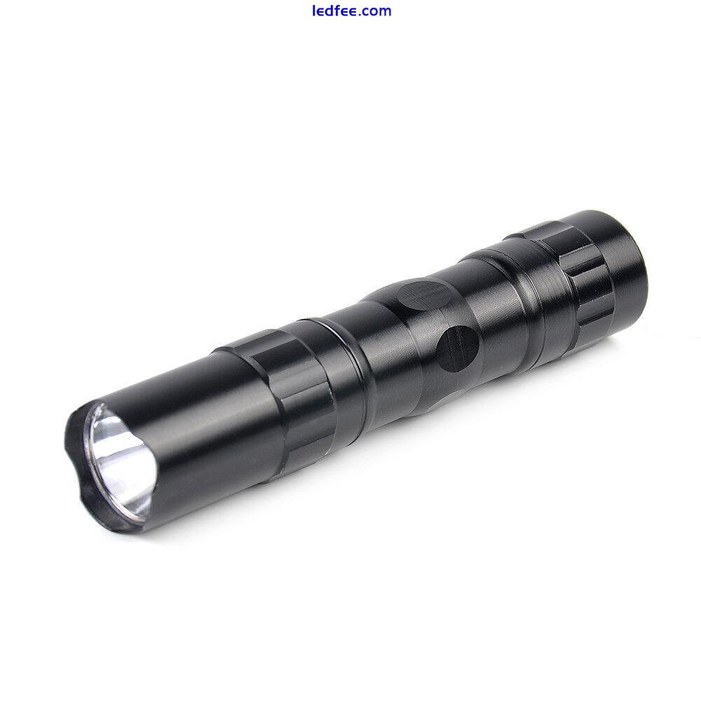 LED Bright Torch Small Pocket Mini Camping Powerful Flashlight Light Lamp 4 