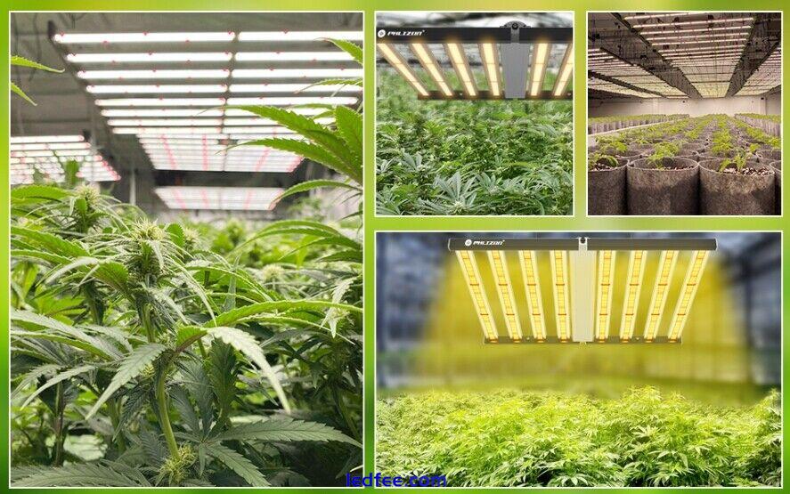 Spider FD1000W LED Grow Lights Samsung Full Spectrum Commercial Grow CO2 Indoor 4 