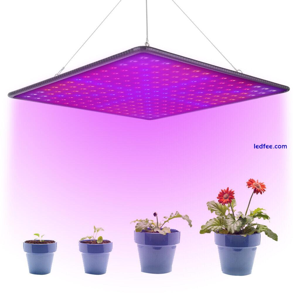 2000W LED Grow Light for Indoor Plants Growing Lamp 225 LED Full Spectrum Lights 5 