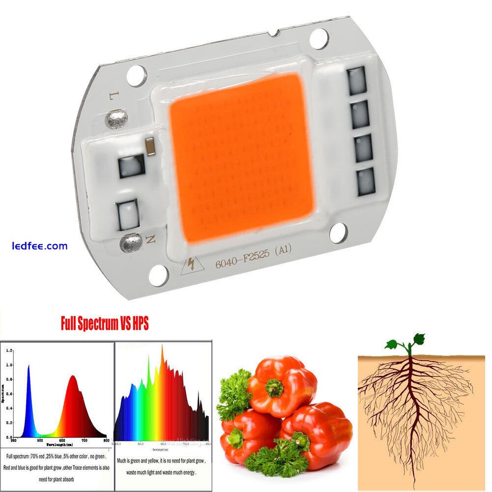 1Pc 50W Full Spectrum Warm/White Led COB Chip Grow Light Growth Lamp Garden 0 