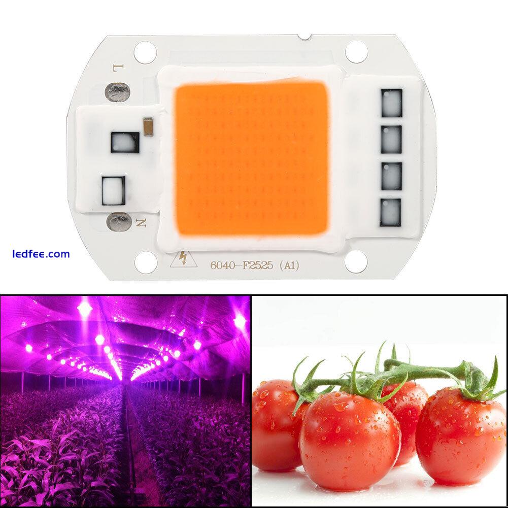 1Pc 50W Full Spectrum Warm/White Led COB Chip Grow Light Growth Lamp Garden 1 