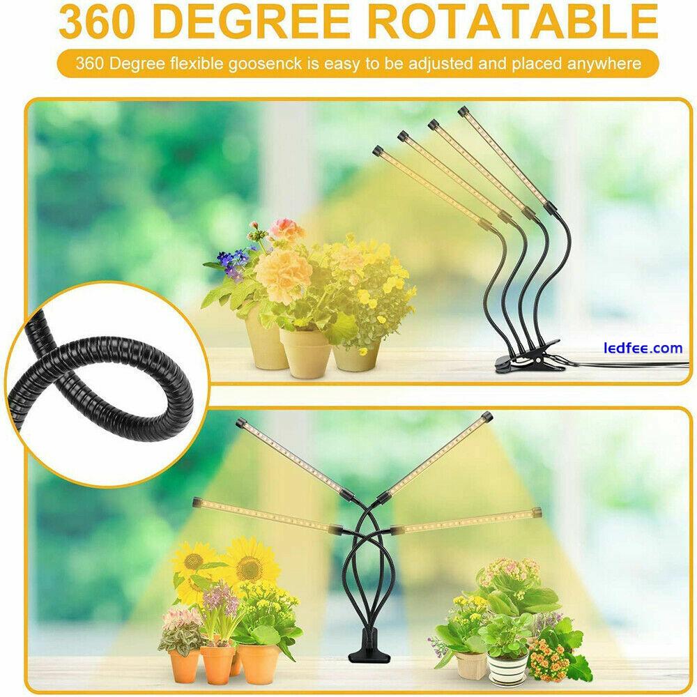 Full Spectrum sunlike Grow Light Plant Growing Lamp for Indoor Plants Hydroponic 3 