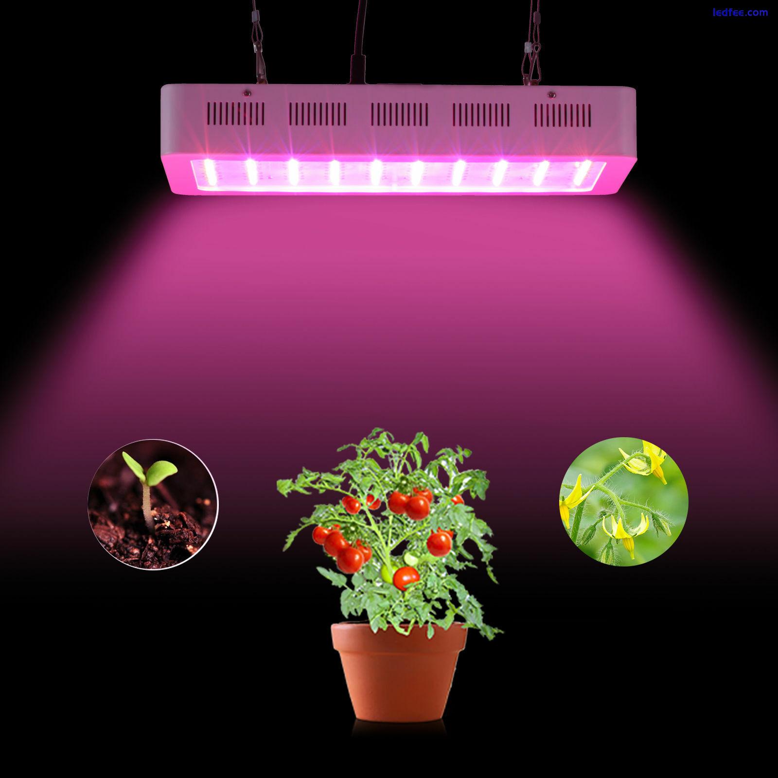 Lámpara LED De Espectro Completo Para Cultivo Foco Plantas Invernaderos Interior 2 