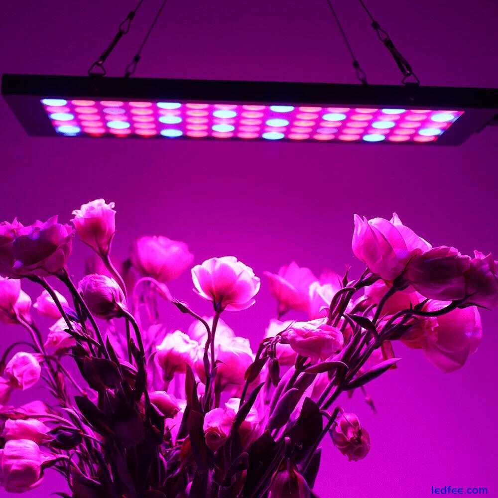 2pcs 5000W LED Grow Light Hydroponic Full Spectrum Indoor Veg Flower Plant Lamp 5 