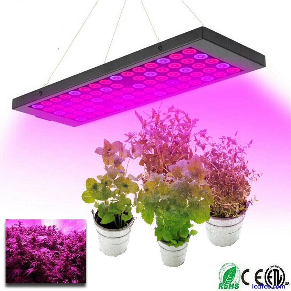 2pcs 5000W LED Grow Light Hydroponic Full Spectrum Indoor Veg Flower Plant Lamp 1 