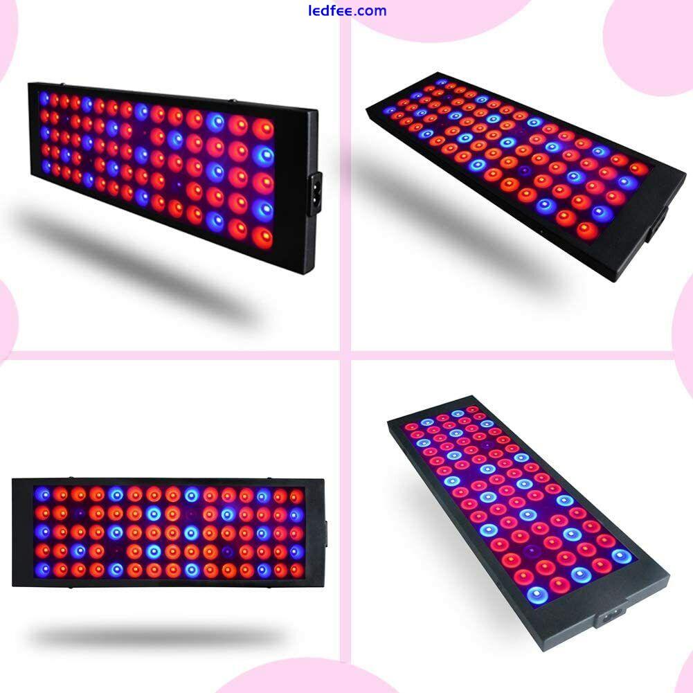 2pcs 5000W LED Grow Light Hydroponic Full Spectrum Indoor Veg Flower Plant Lamp 3 