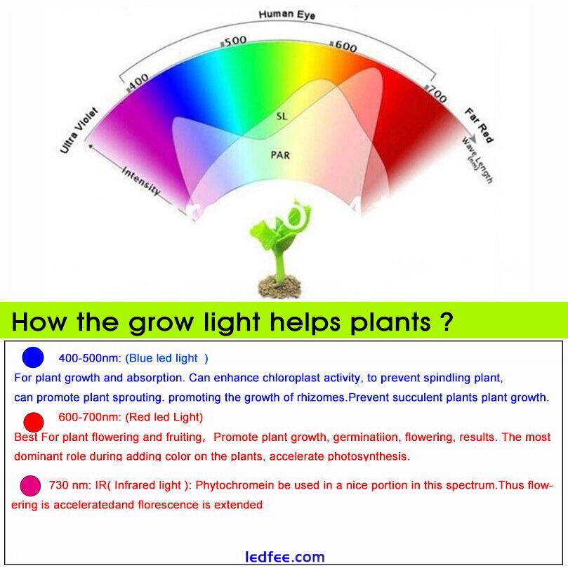 18W Led Plant Grow light lamp bulb E27 E14 full spectrum for indoor greenhouse 5 