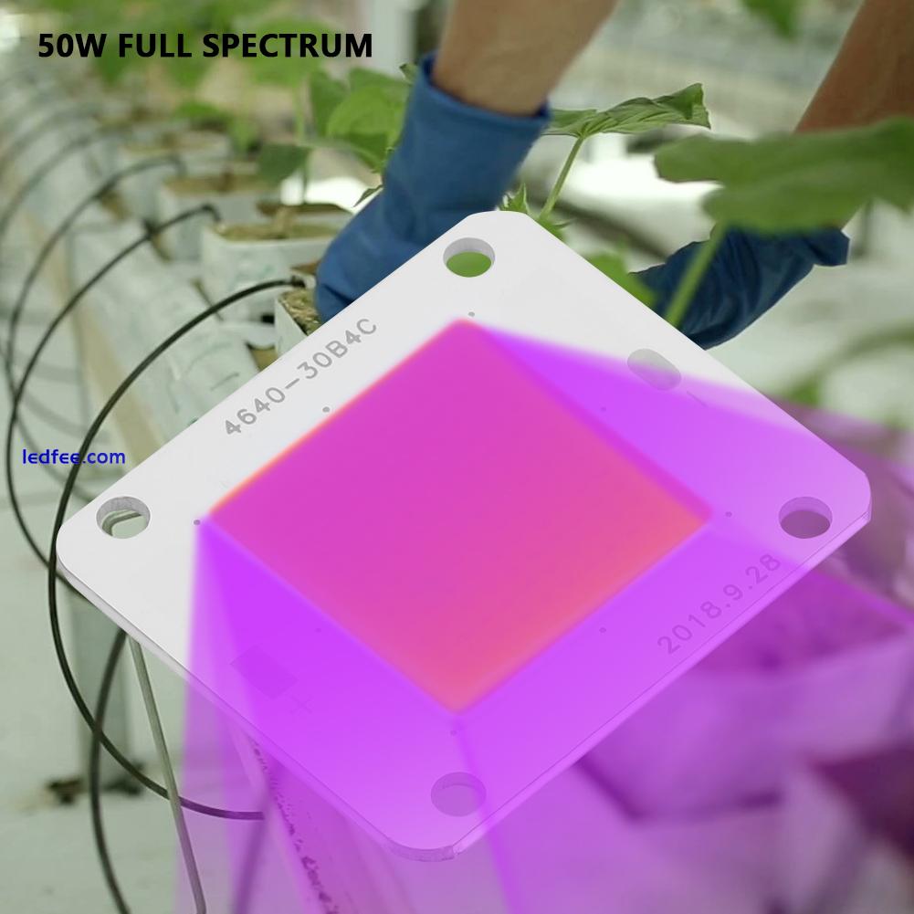 COB LED Grow Light DC12V 50W COB LED Chip Full Spectrum Plant Grow Lamp 2 