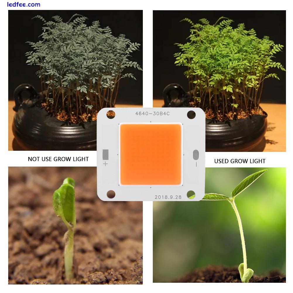 COB LED Grow Light DC12V 50W COB LED Chip Full Spectrum Plant Grow Lamp 1 