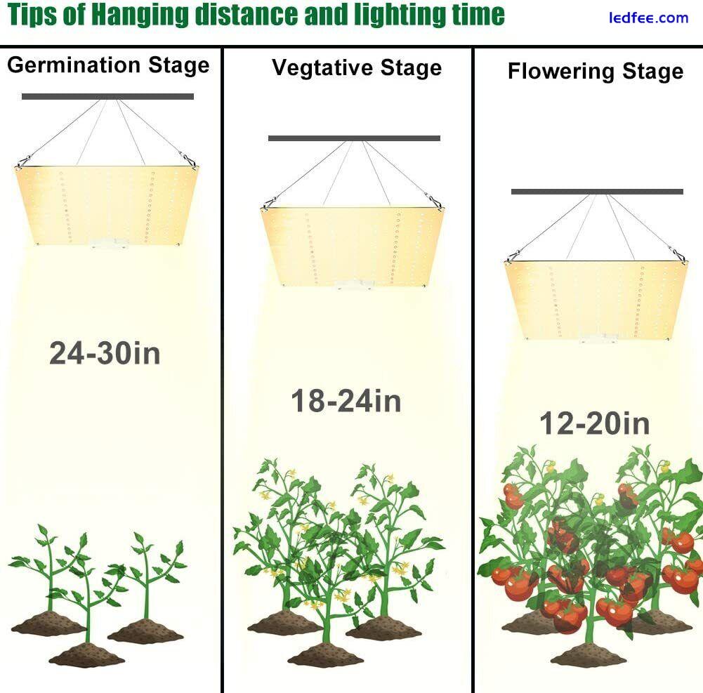 1000W Wattage LED Grow Light Full Spectrum Lamp for Hydroponics Plant Growing 2 