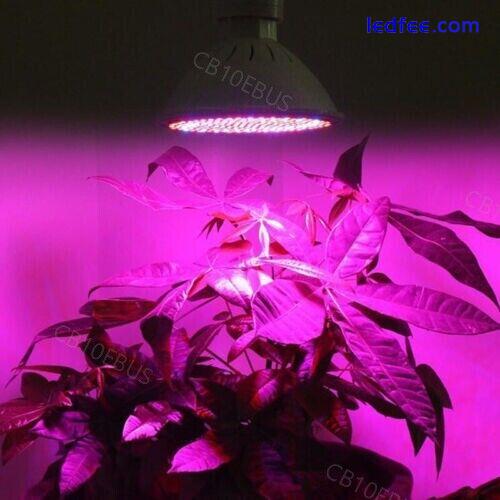 200LED E27 Plant Grow Light lamp flower Growing Lights Bulbs Hydroponics B10 1 