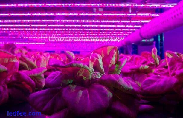 1200mm LED Grow Light Kits Growing Lamp for all plants 50,000 working hours 2 