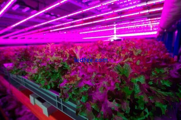 1200mm LED Grow Light Kits Growing Lamp for all plants 50,000 working hours 4 