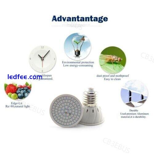 LED Plant Grow light 48/60/80led phyto lamp growing E27 greenhouse Lamp CB3 4 