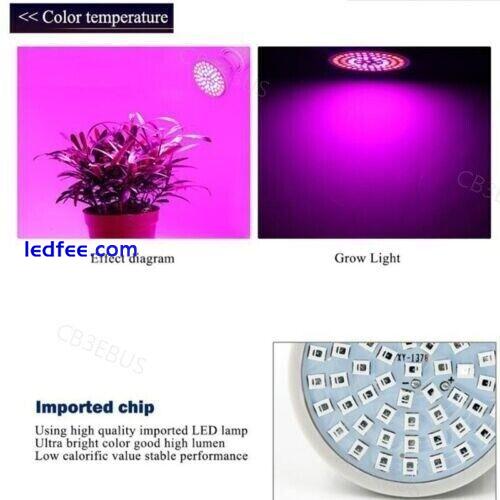 LED Plant Grow light 48/60/80led phyto lamp growing E27 greenhouse Lamp CB3 0 