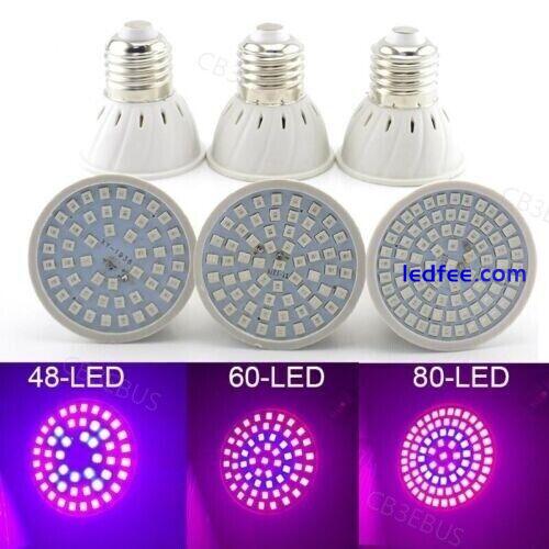 LED Plant Grow light 48/60/80led phyto lamp growing E27 greenhouse Lamp CB3 1 