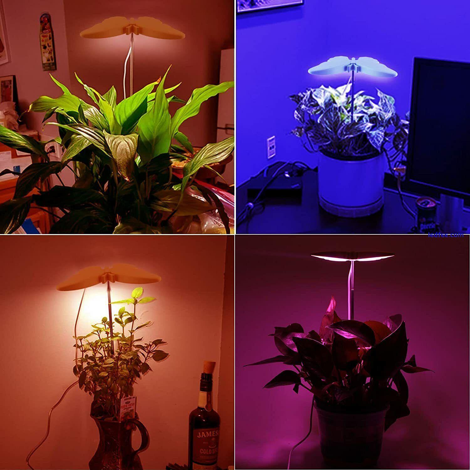 LED Plant Grow Lights Full Spectrum for Indoor Plant Timer Adjustable Brightness 5 