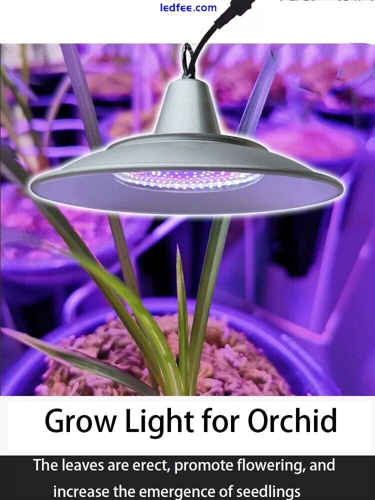 Orchid Grow light 50W Indoor Greenhosue Grow Light for Orchid 0 