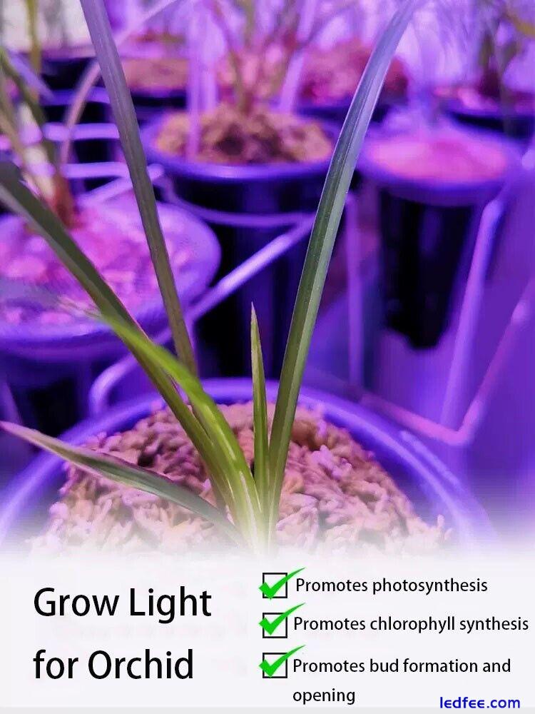 Orchid Grow light 50W Indoor Greenhosue Grow Light for Orchid 2 