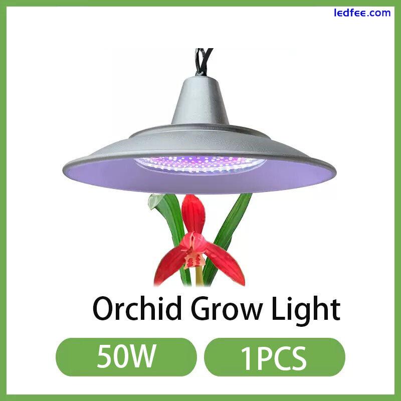 Orchid Grow light 50W Indoor Greenhosue Grow Light for Orchid 5 